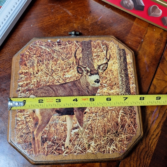 Picture - Picture 2 of 7